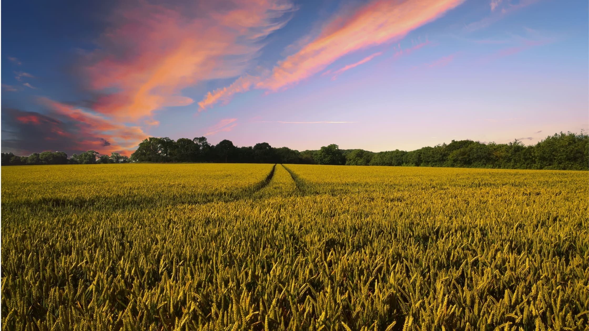 farmland