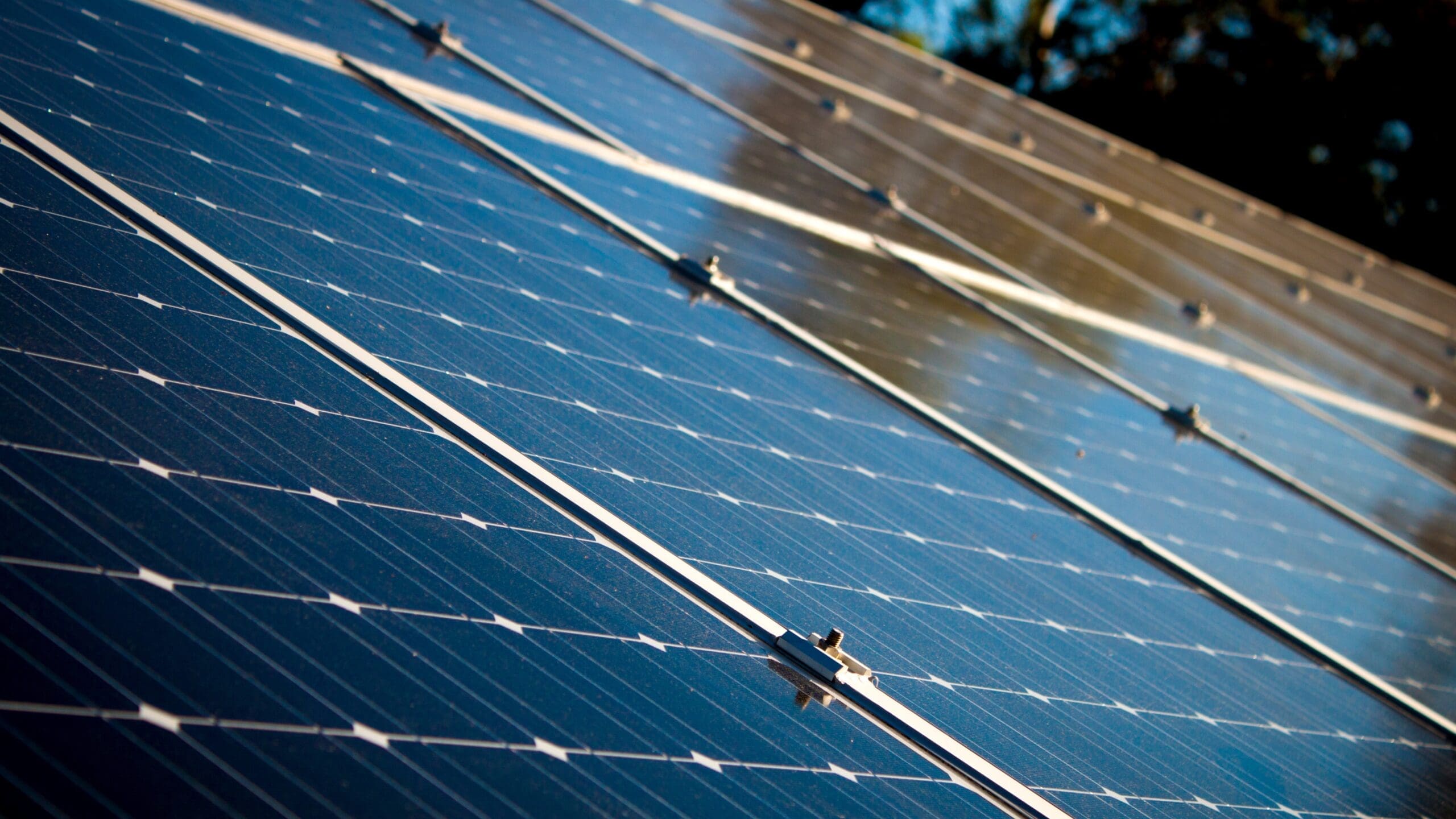 Renewable Energy Transition (Blog Post) Solar Panels